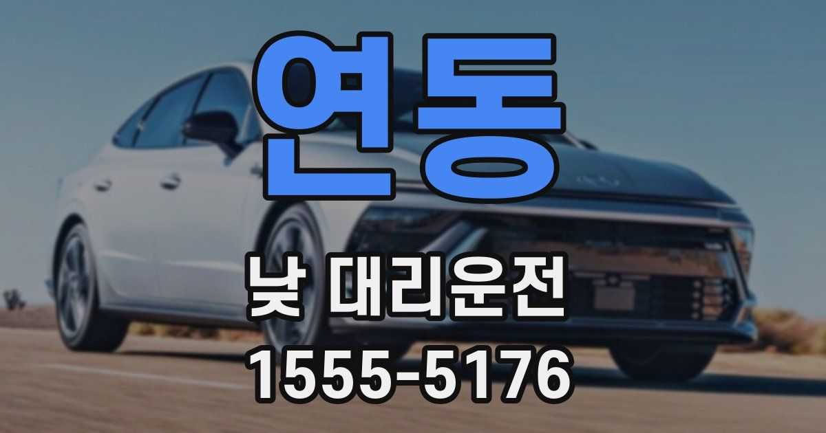 연동 낮 대리운전