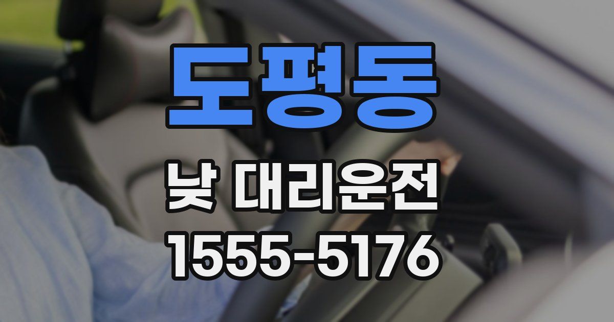 도평동 낮 대리운전
