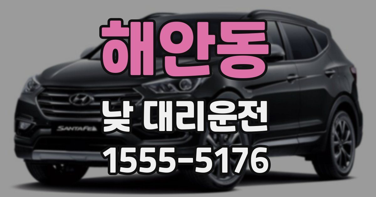 해안동 낮 대리운전