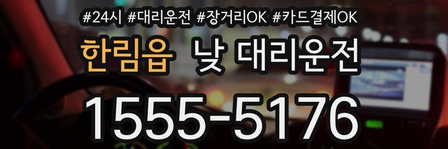 한림읍 낮 대리운전
