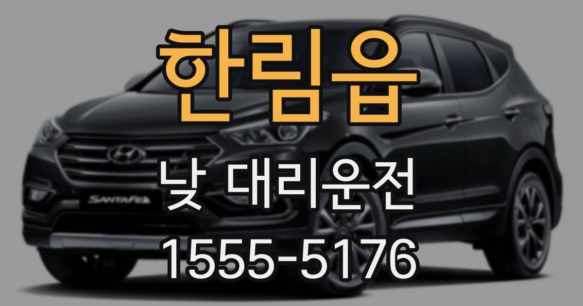 한림읍 낮 대리운전