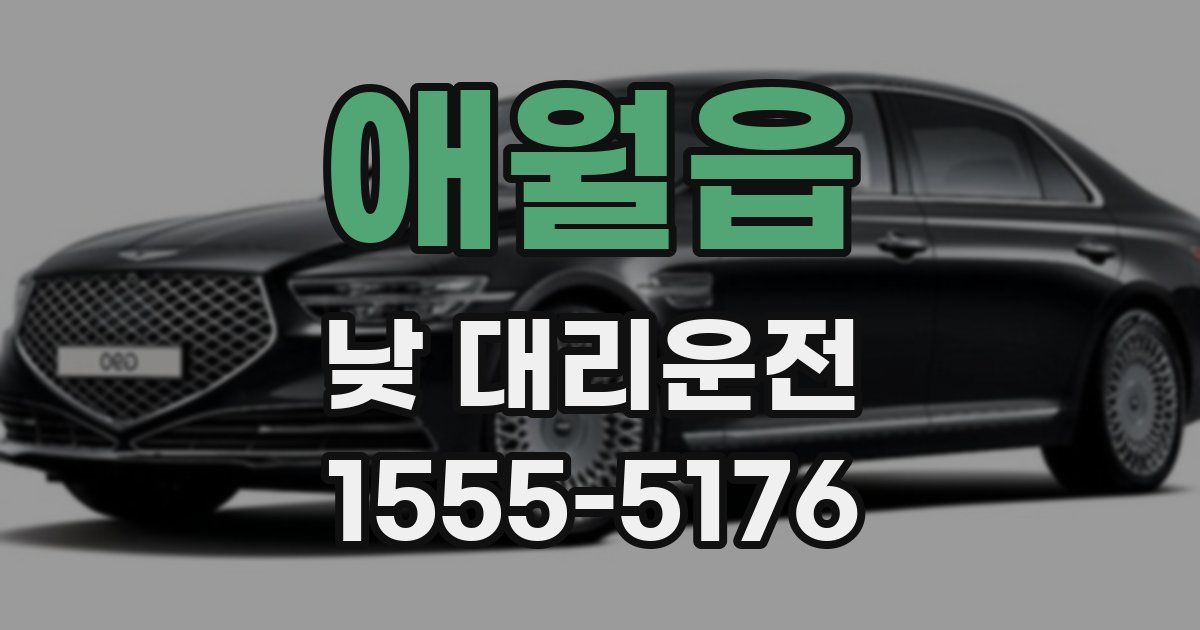애월읍 낮 대리운전