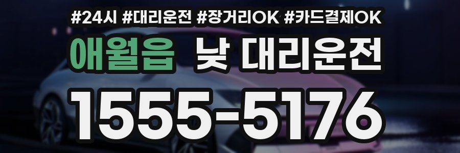 애월읍 낮 대리운전
