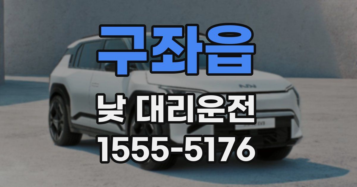 구좌읍 낮 대리운전