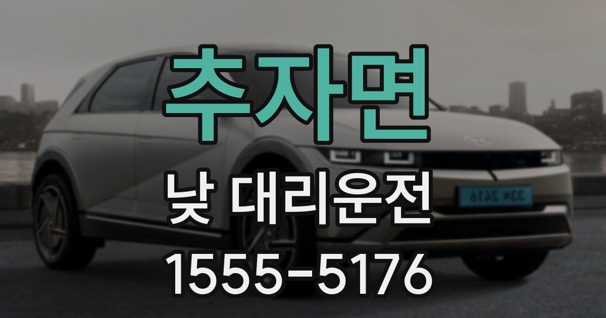 추자면 낮 대리운전