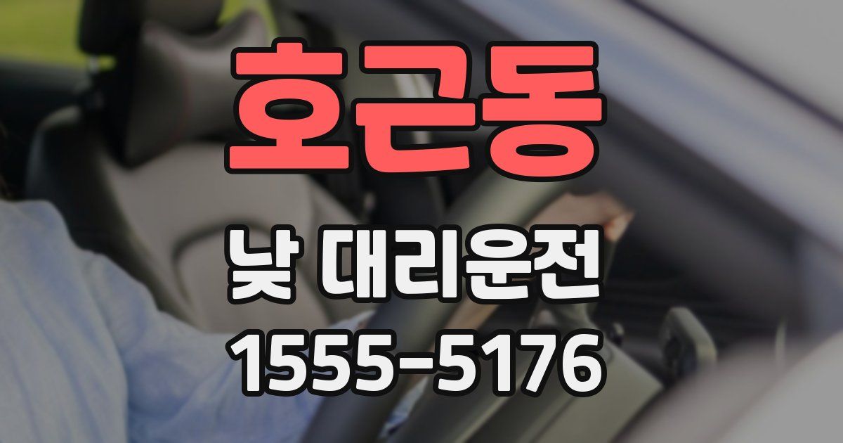 호근동 낮 대리운전