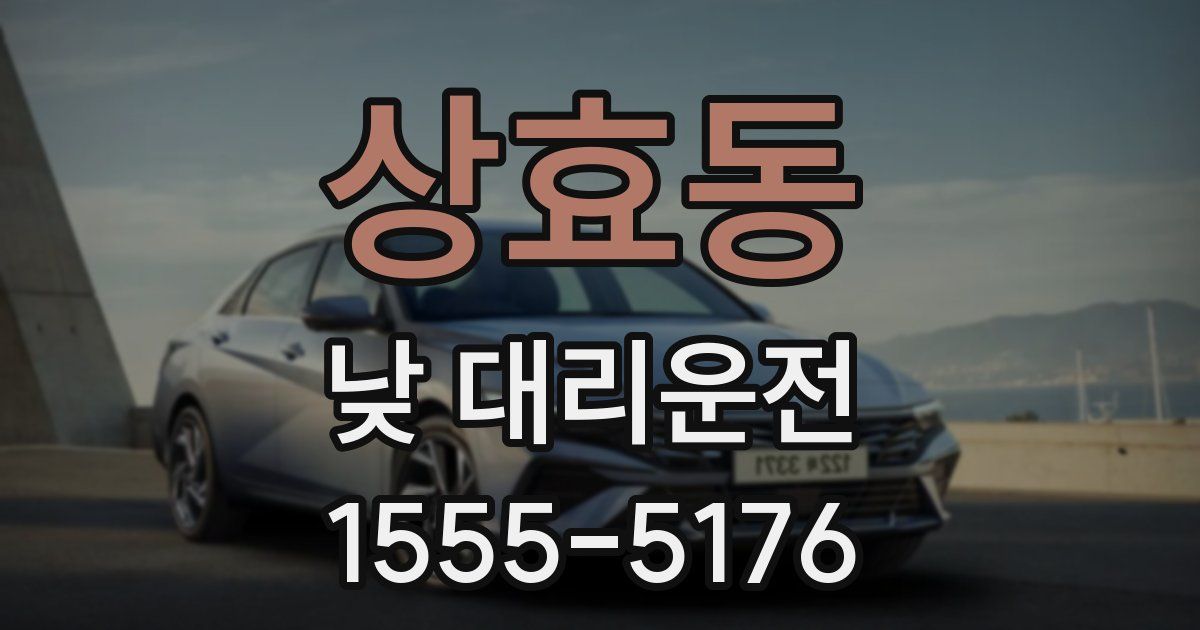 상효동 낮 대리운전