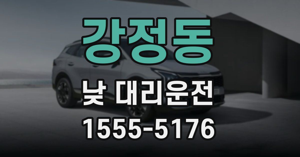 강정동 낮 대리운전