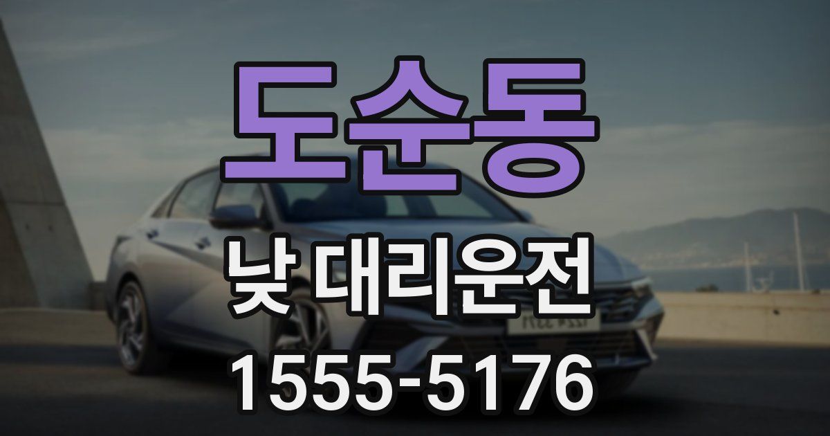 도순동 낮 대리운전