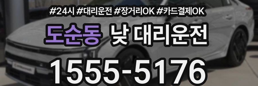 도순동 낮 대리운전