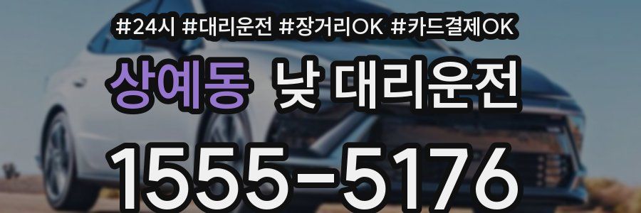 상예동 낮 대리운전