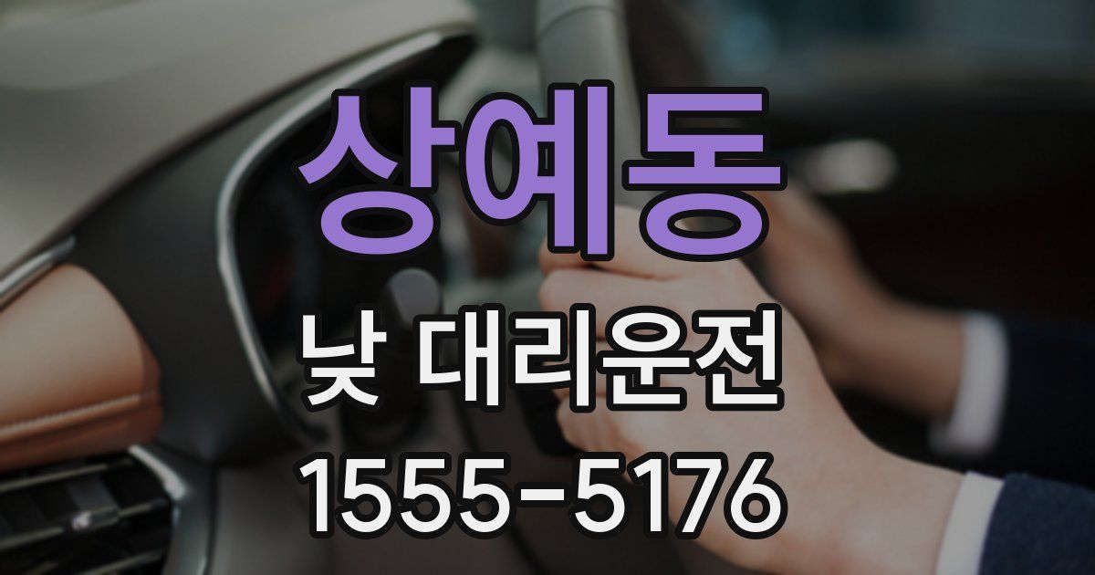 상예동 낮 대리운전