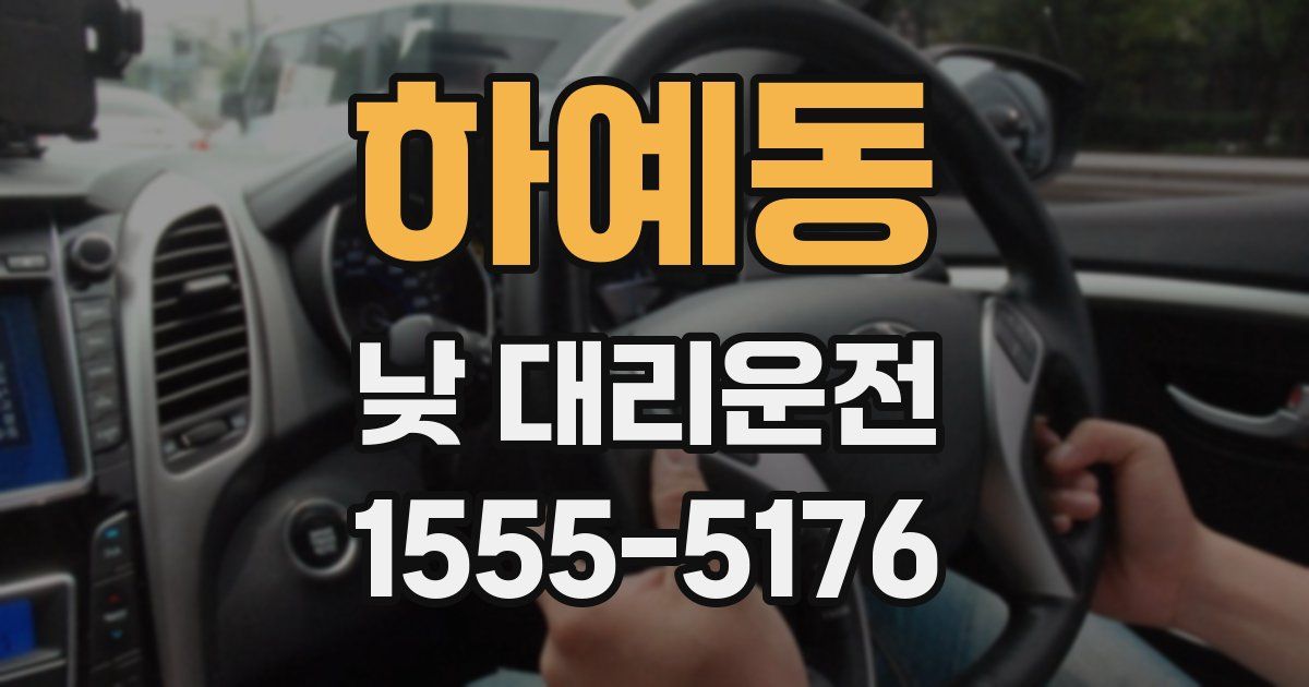 하예동 낮 대리운전