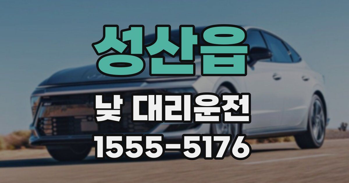 성산읍 낮 대리운전