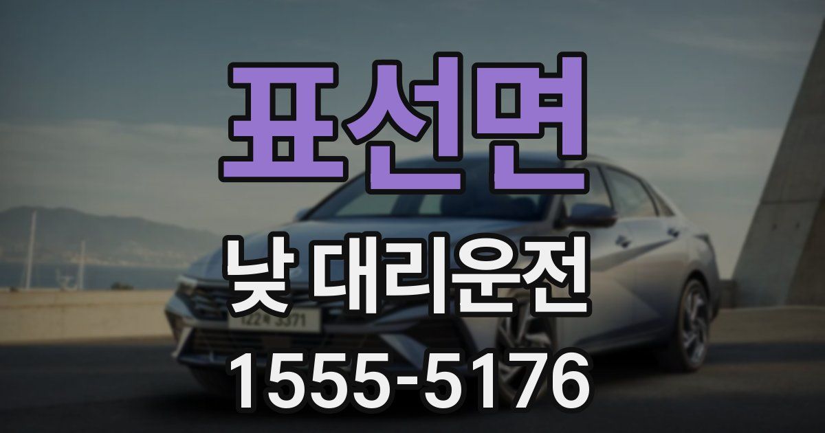 표선면 낮 대리운전