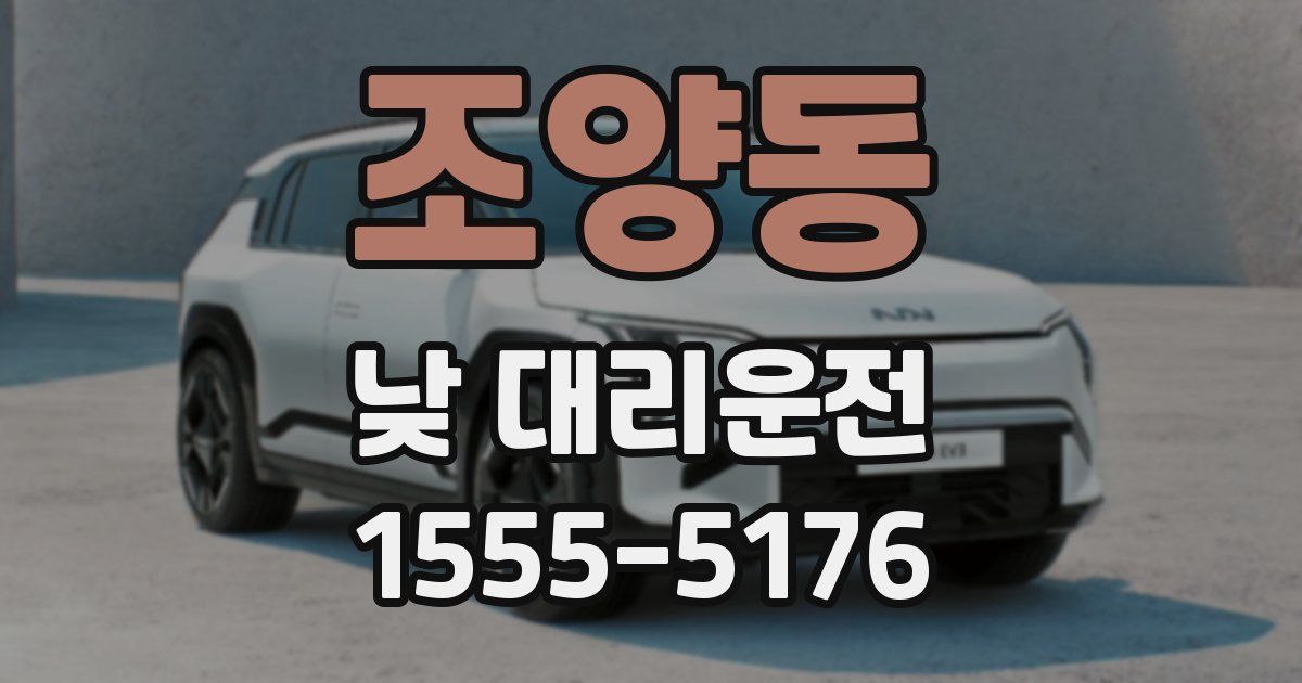 조양동 낮 대리운전