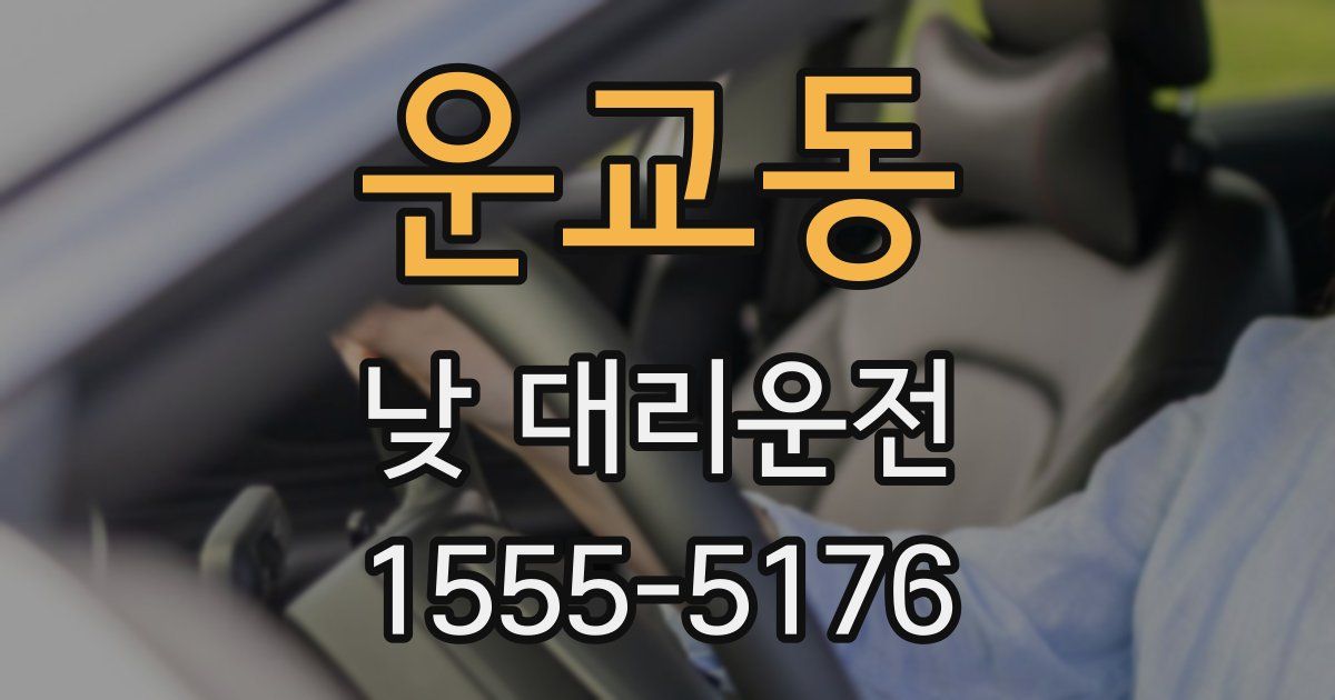 운교동 낮 대리운전