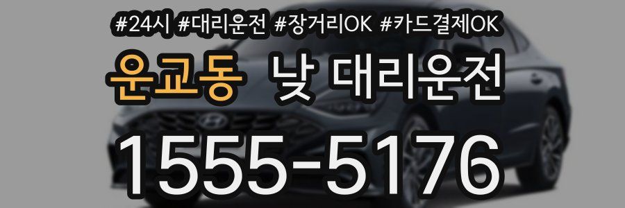 운교동 낮 대리운전