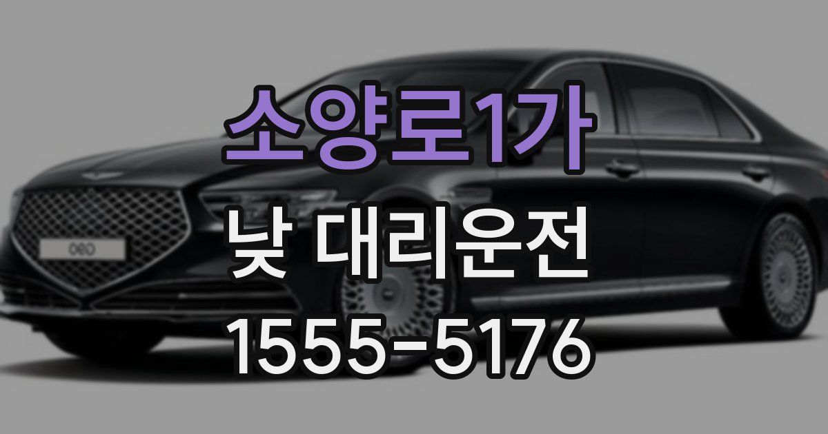 소양로1가 낮 대리운전