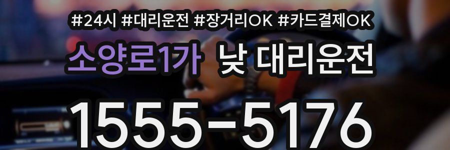 소양로1가 낮 대리운전