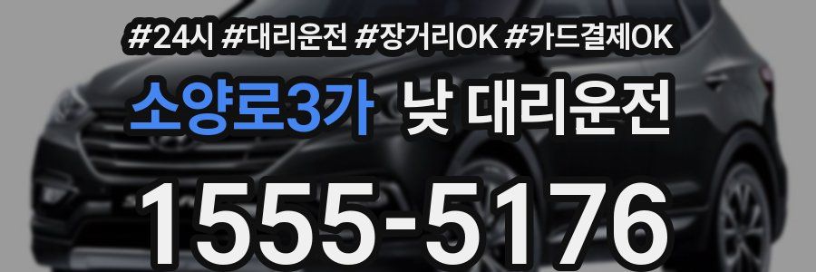 소양로3가 낮 대리운전