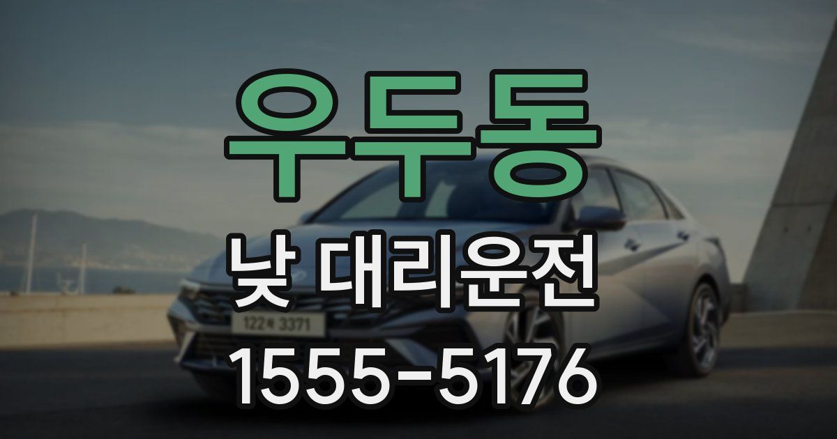 우두동 낮 대리운전