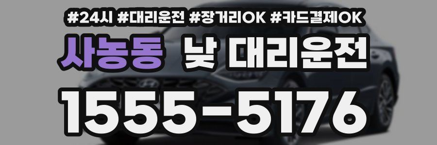 사농동 낮 대리운전