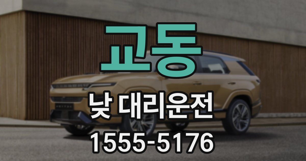 교동 낮 대리운전
