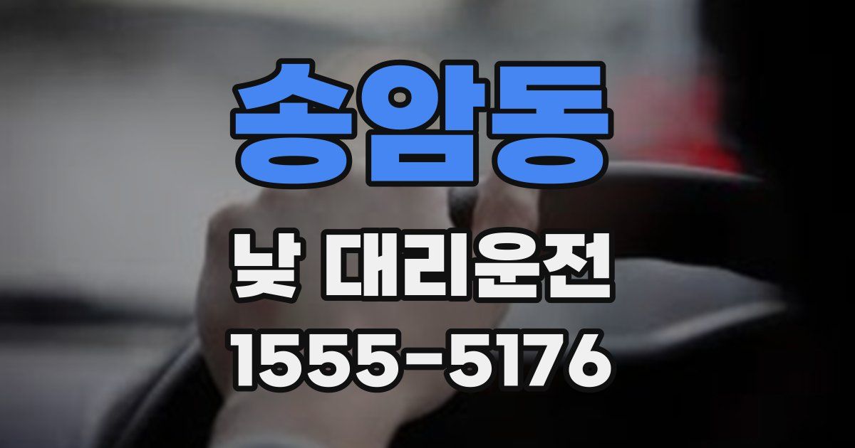 송암동 낮 대리운전