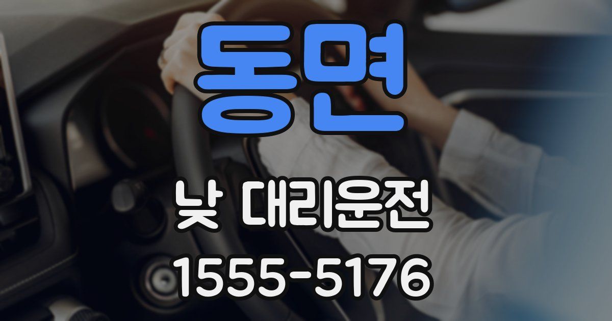 동면 낮 대리운전