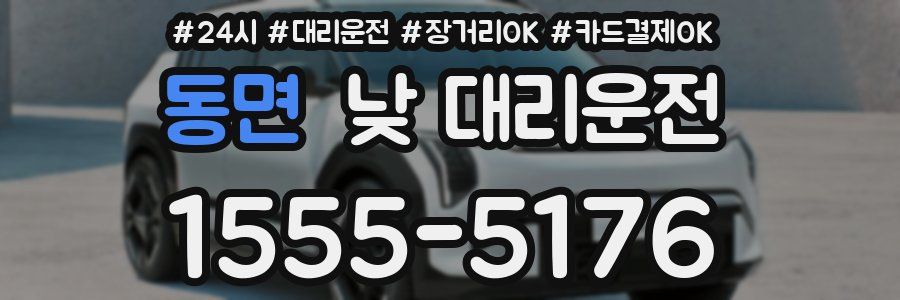동면 낮 대리운전