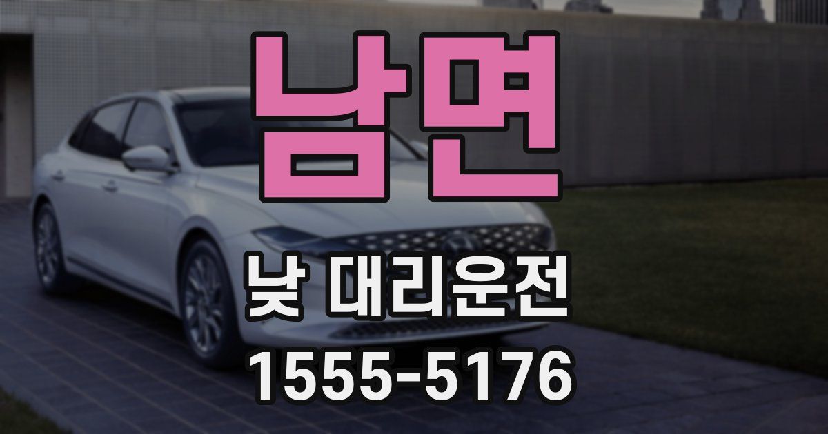남면 낮 대리운전