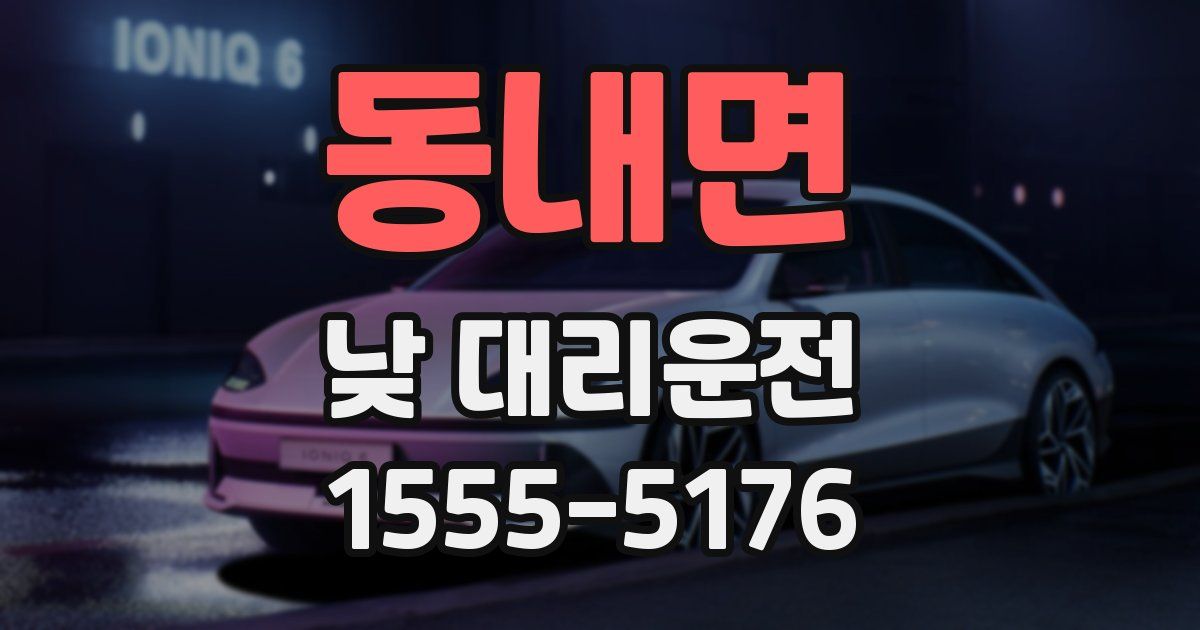 동내면 낮 대리운전