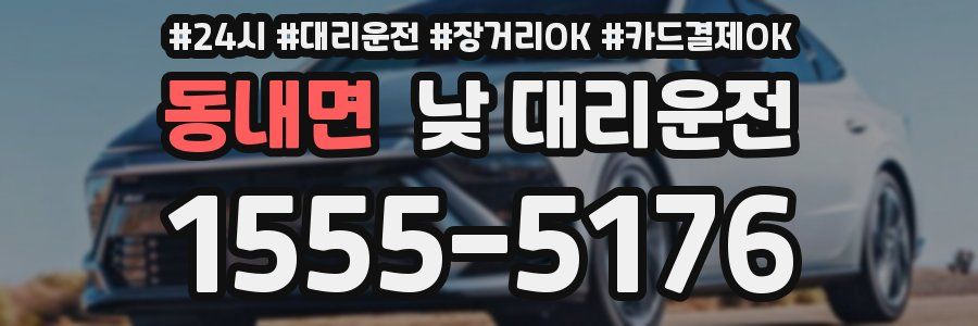 동내면 낮 대리운전