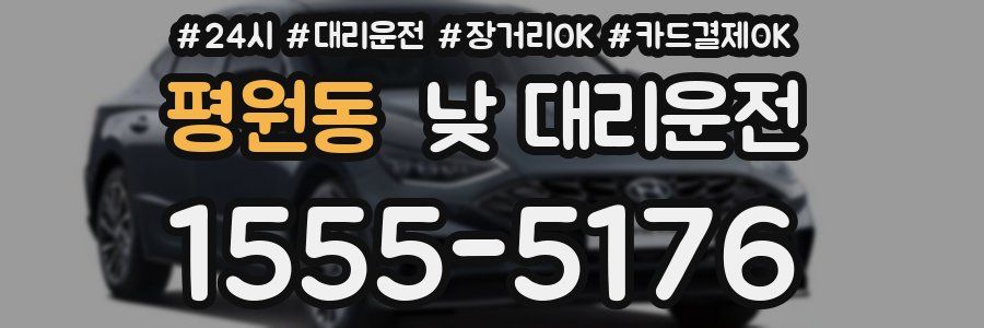 평원동 낮 대리운전