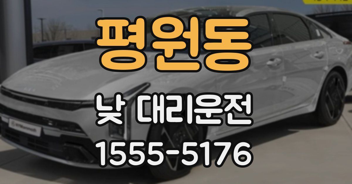 평원동 낮 대리운전