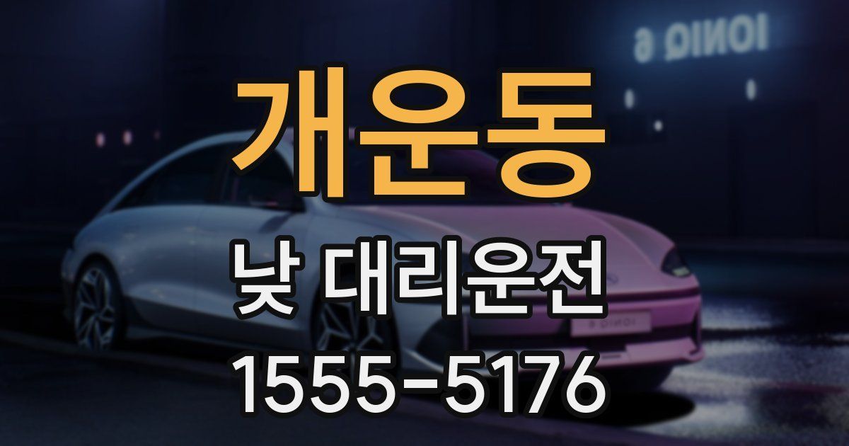 개운동 낮 대리운전
