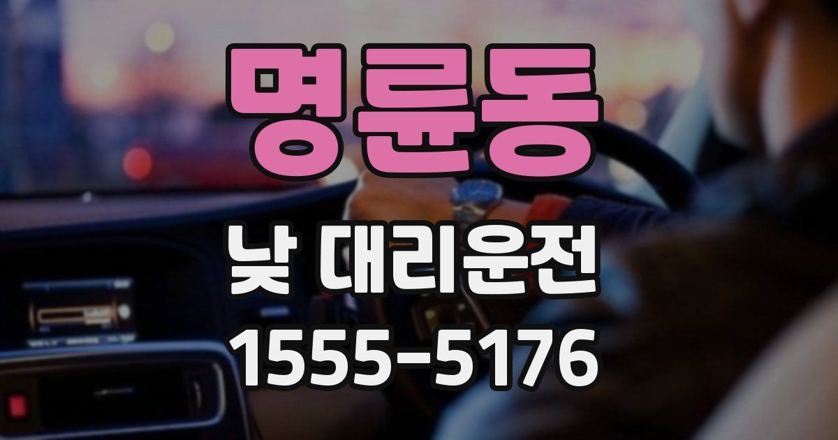 명륜동 낮 대리운전