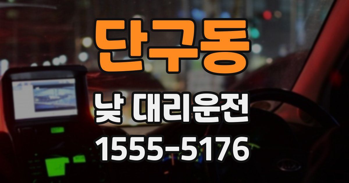 단구동 낮 대리운전