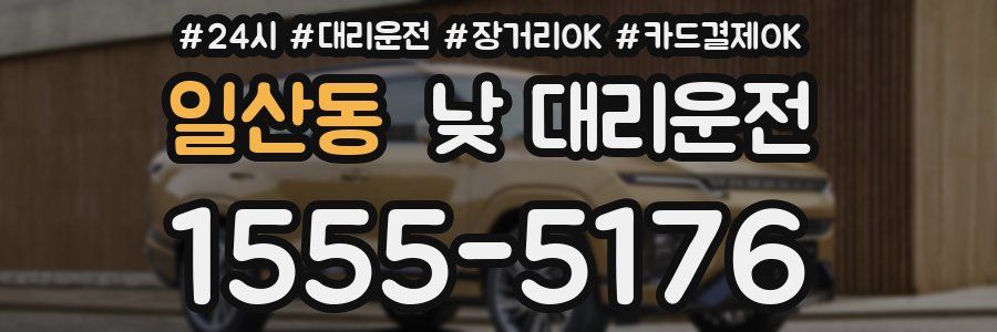 일산동 낮 대리운전