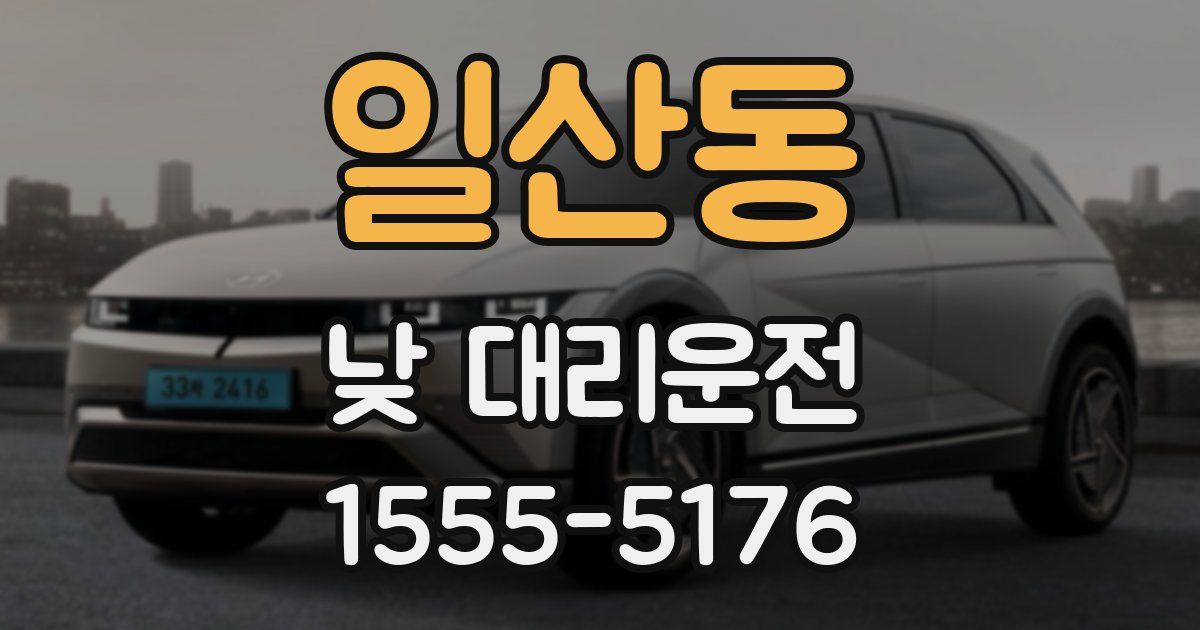 일산동 낮 대리운전