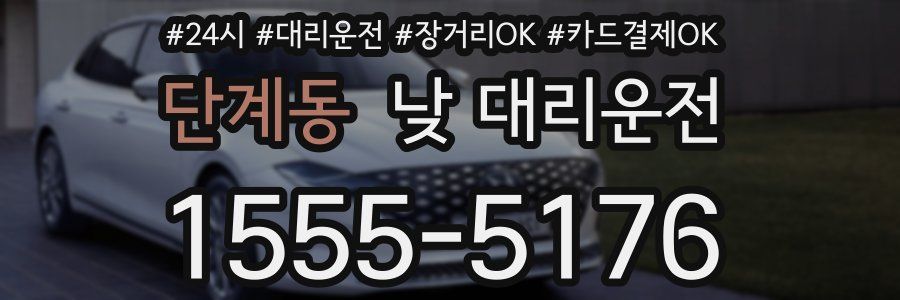 단계동 낮 대리운전