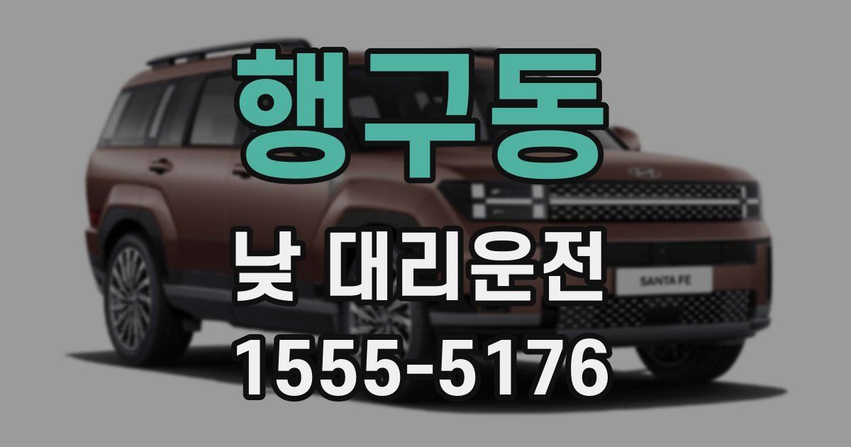 행구동 낮 대리운전