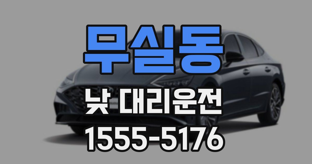 무실동 낮 대리운전