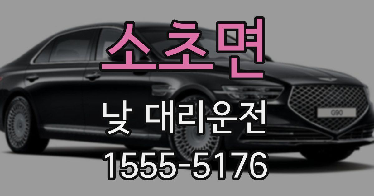 소초면 낮 대리운전
