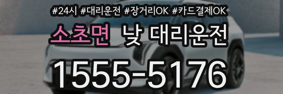 소초면 낮 대리운전