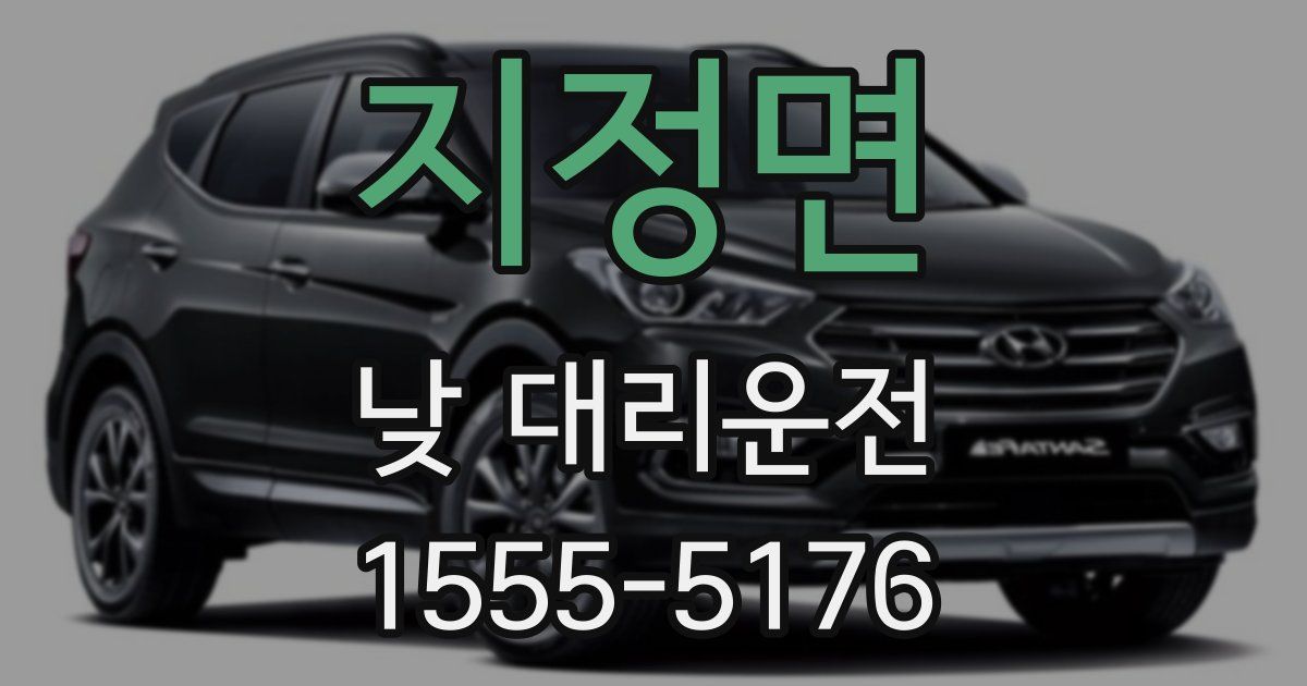 지정면 낮 대리운전