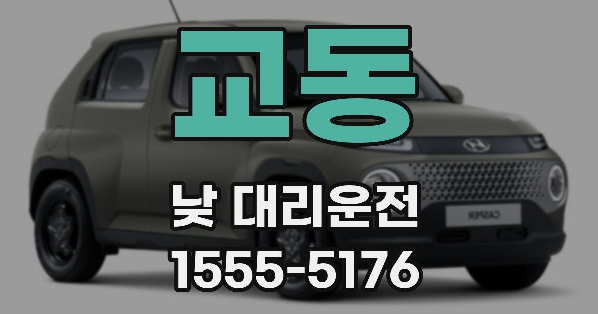 교동 낮 대리운전