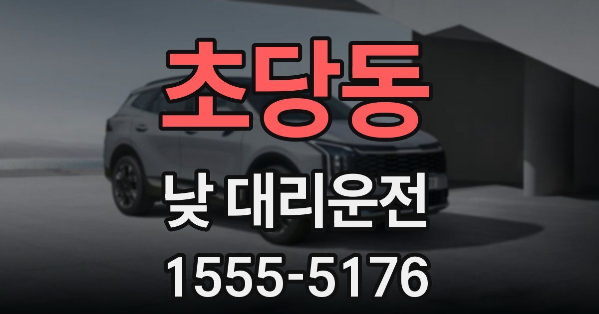 초당동 낮 대리운전