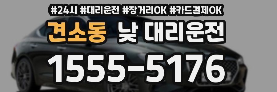 견소동 낮 대리운전